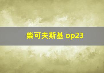 柴可夫斯基 op23